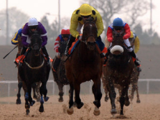 All Weather Horseracing System