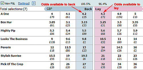 Betfair Basics